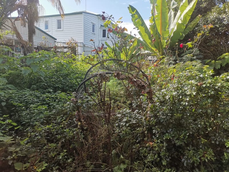 Property Clearing