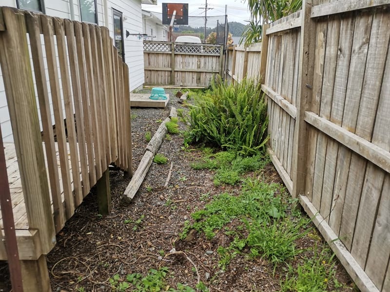 Gardening and Re Barking