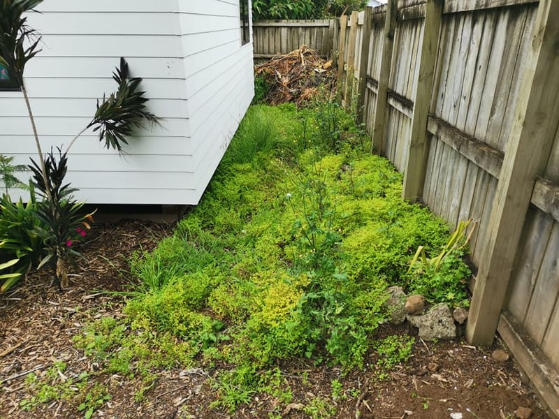 Gardening and Re Barking