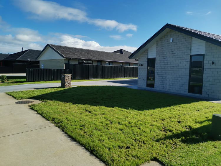 New Build Soil and Seed