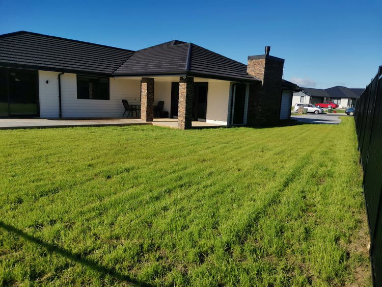 New Build Soil and Seed