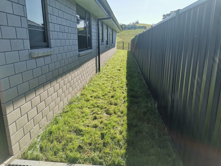 New Build Soil and Seed