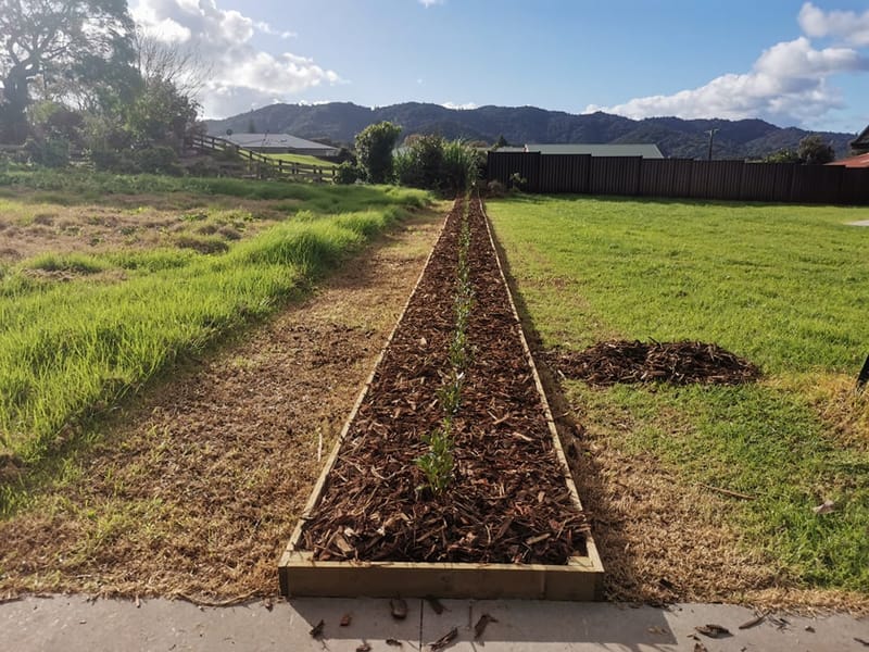 Straight Line and Curved Griselinia Bark Mulch Gardens