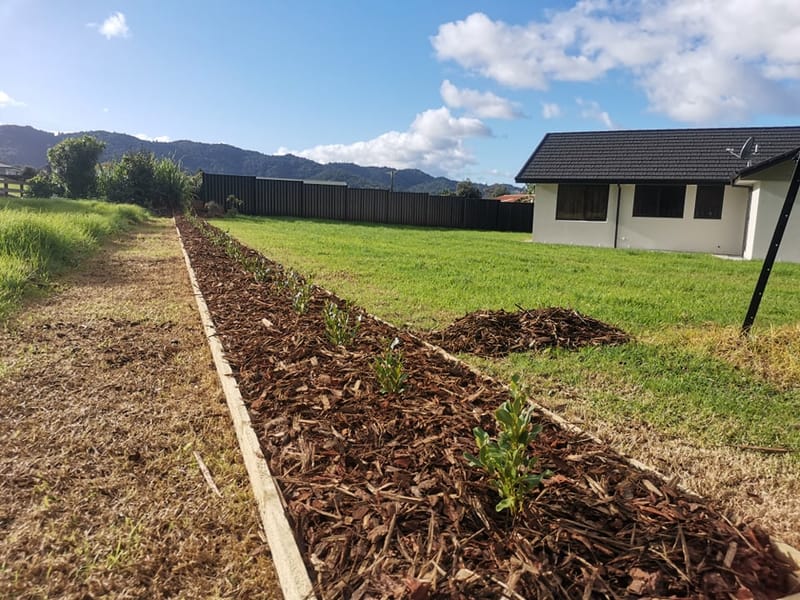 Straight Line and Curved Griselinia Bark Mulch Gardens