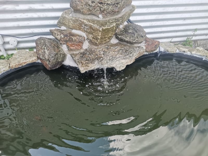 New Schist Pond Install