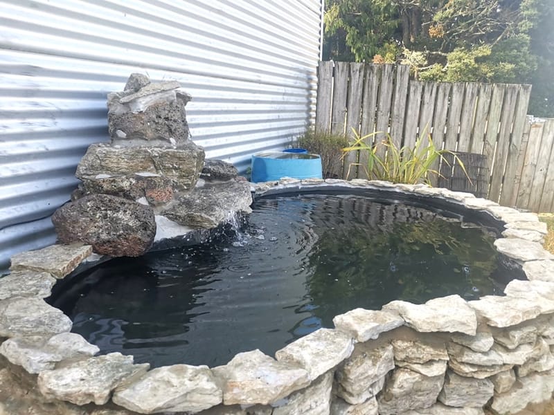 New Schist Pond Install