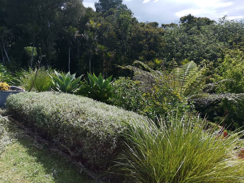 Garden pruning