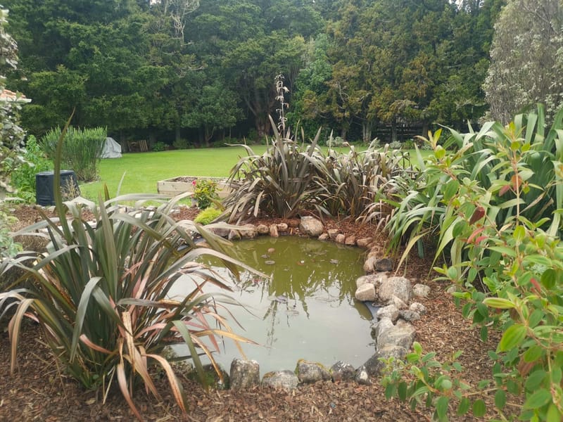 Pond and Garden Maintenance