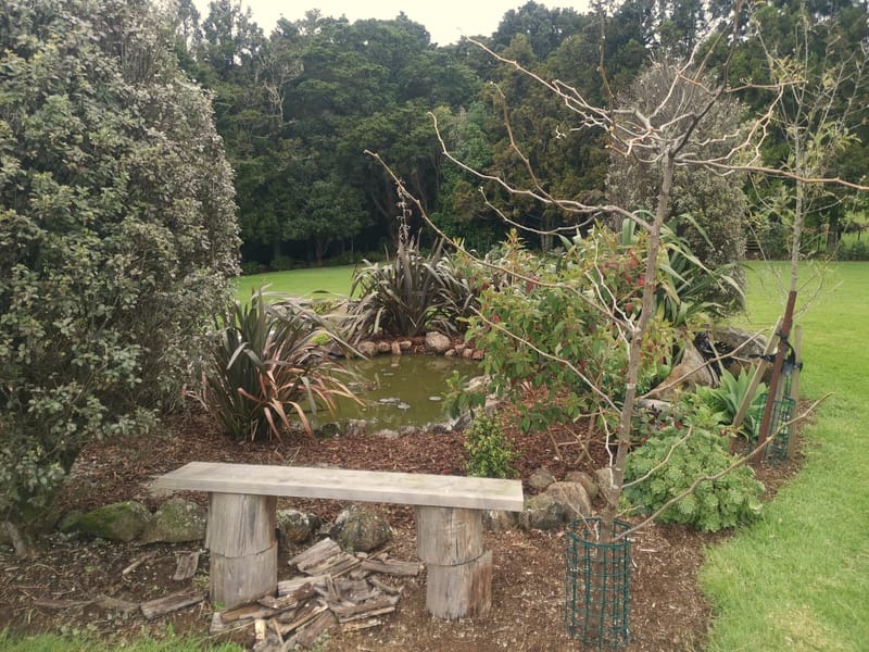 Pond and Garden Maintenance