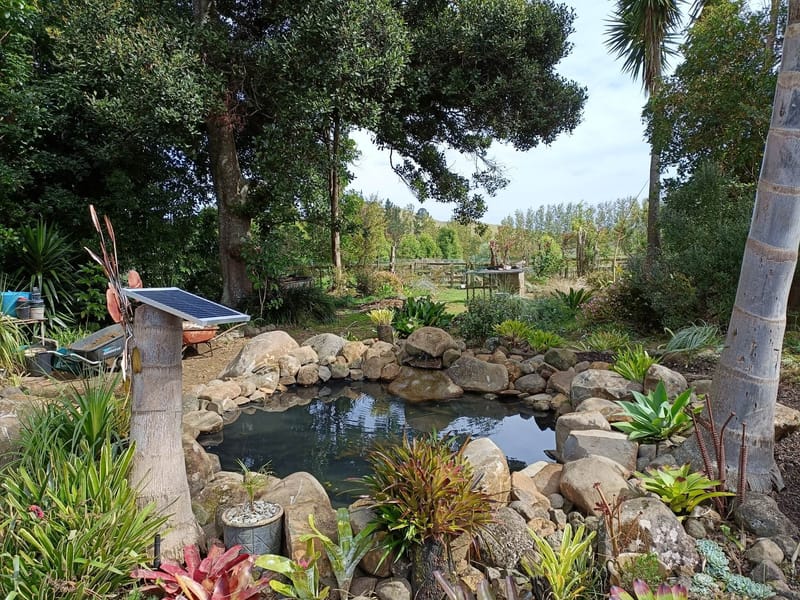 New Rock Pond Installation