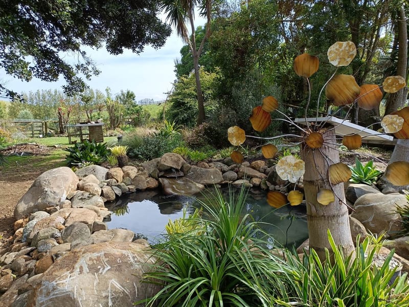 New Rock Pond Installation