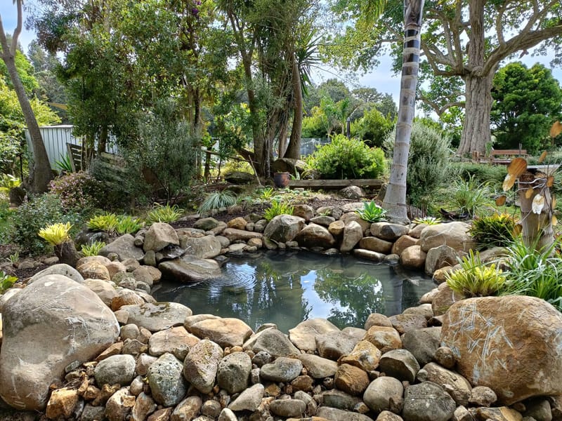 New Rock Pond Installation