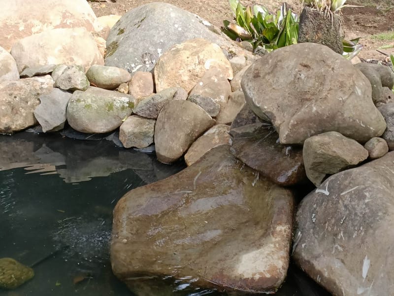 New Rock Pond Installation