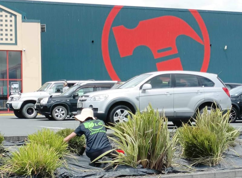 Commercial Garden Revitalization