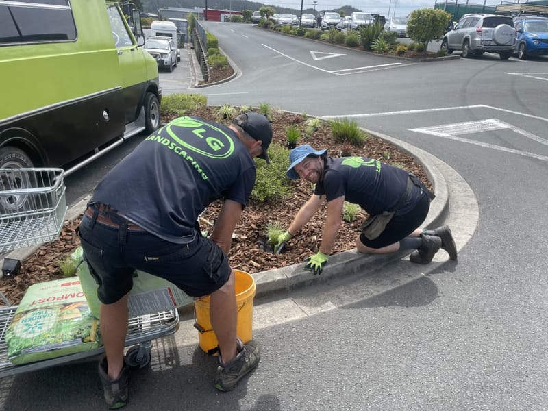 Commercial Garden Revitalization