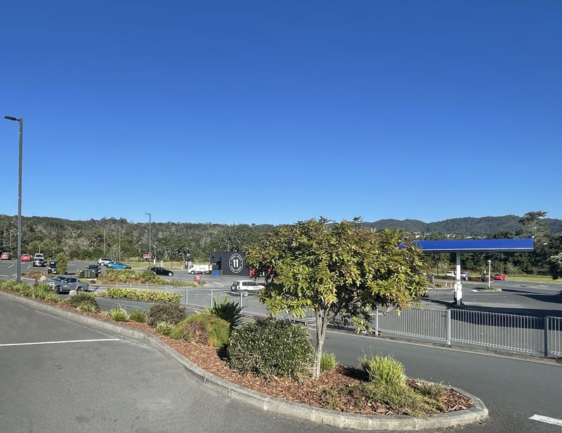 Commercial Garden Revitalization