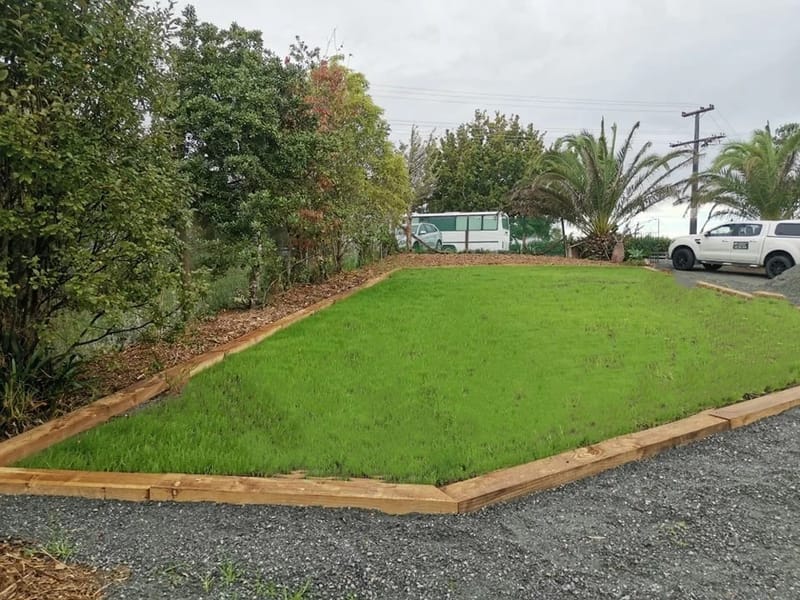 Lawn Rebuild and Grass Seed