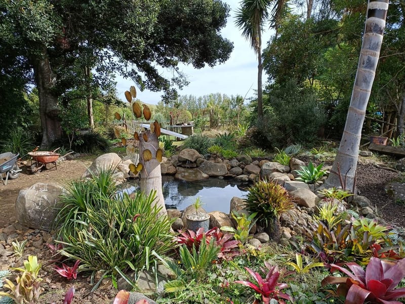 New Rock Pond Installation