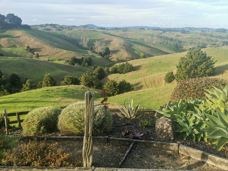 Garden pruning