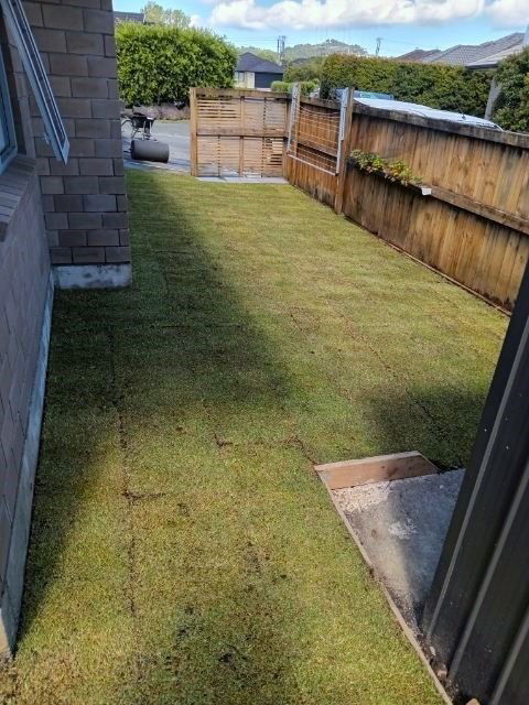 Ready Lawn - Onerahi