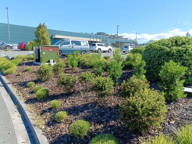 Commercial Garden Revitalization