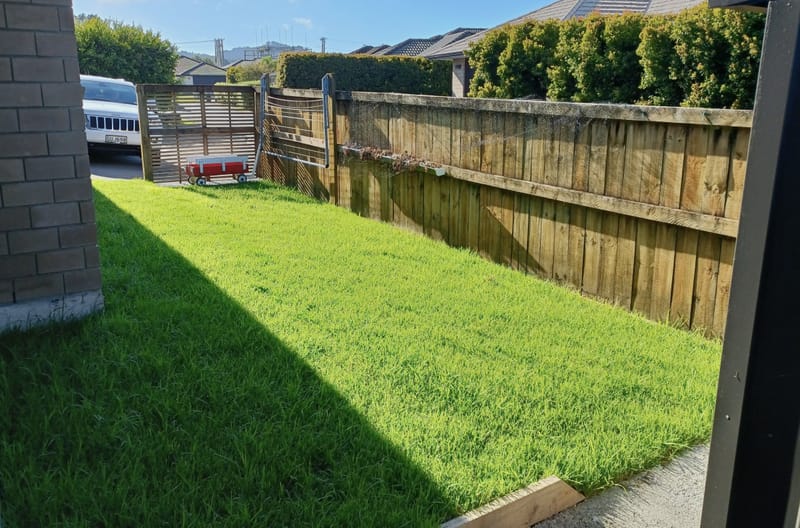 Ready Lawn - Onerahi