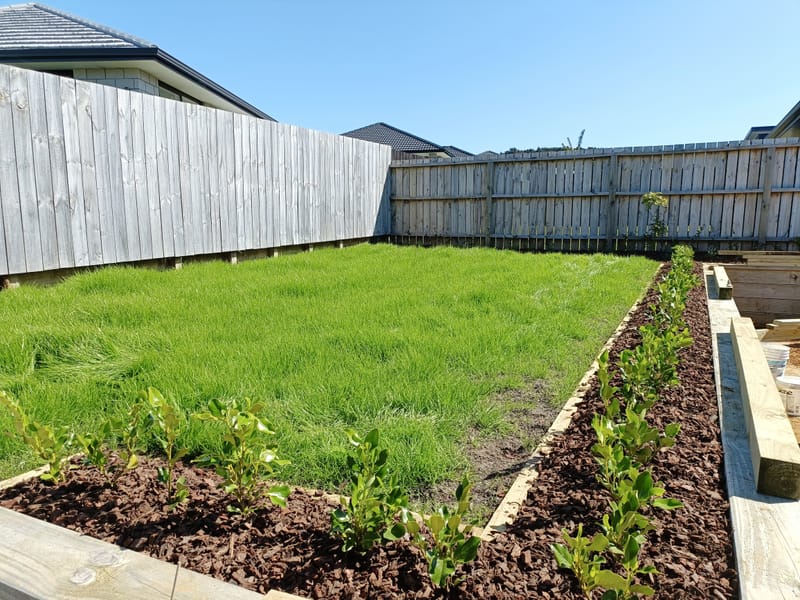 Ready Lawn and Soil and Seed Mix