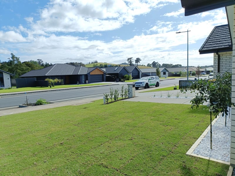 Ready Lawn and Soil and Seed Mix