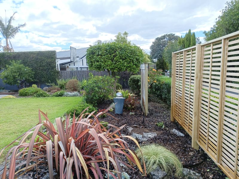 Pruning and Maintenance