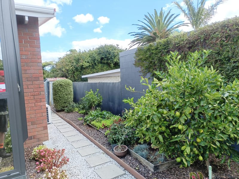 Pruning and Maintenance