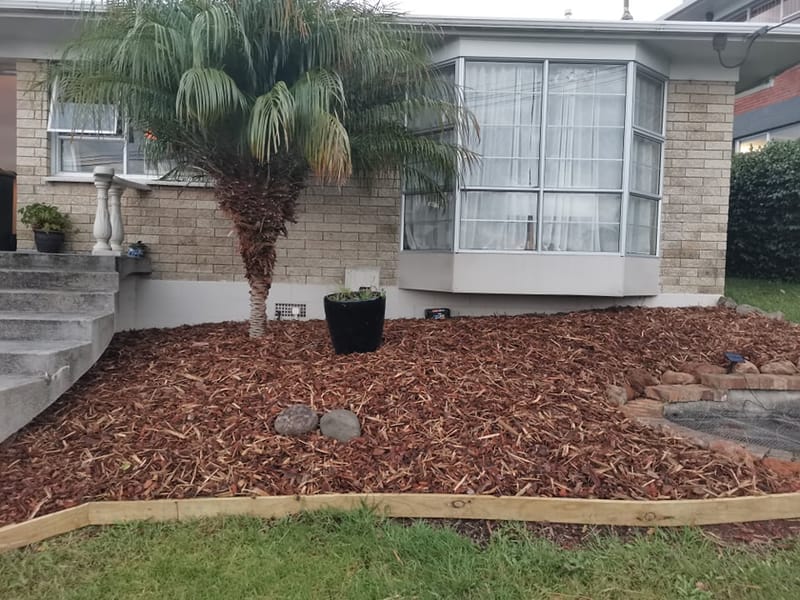 Pond Garden Renovation