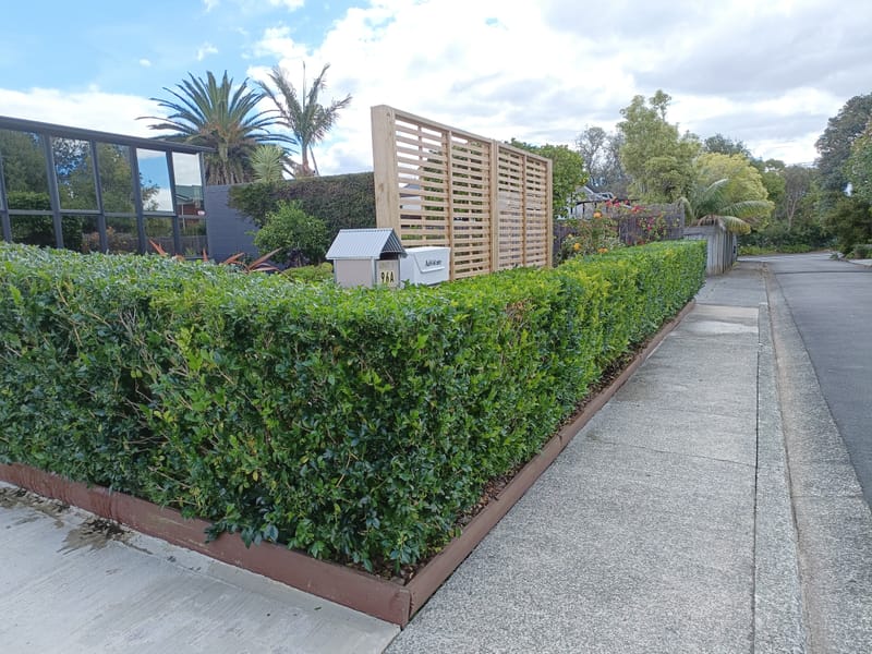 Pruning and Maintenance
