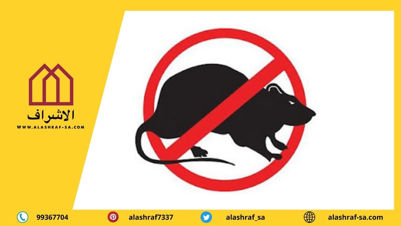 شركة مكافحة الفئران بالكويت 99367704