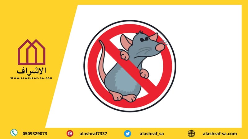 شركة مكافحة فئران بالرياض 0509329073