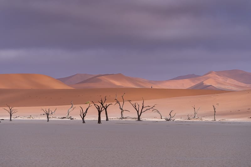 Namibia