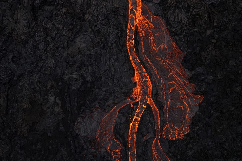 exposition principale