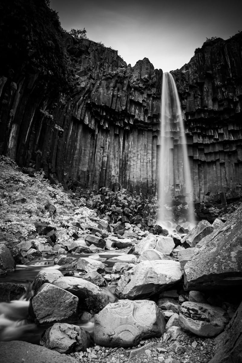 exposition principale