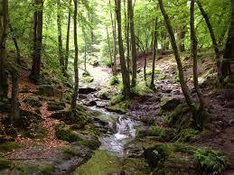 Le long du Ninglinspo  "Le ruisseau enchanté"