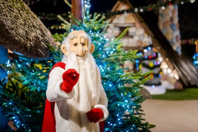 Voyage d'un jour ou plusieurs jours au Parc Astérix à Paris.