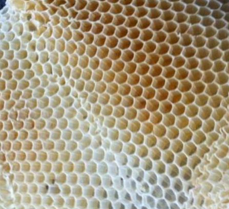 CERA DE ABEJA USOS MULTIPLES