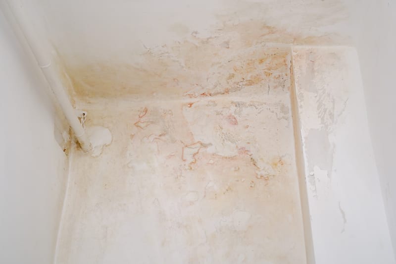 ניצחון במשפט: חוה פורמנד מול חברת הביטוח