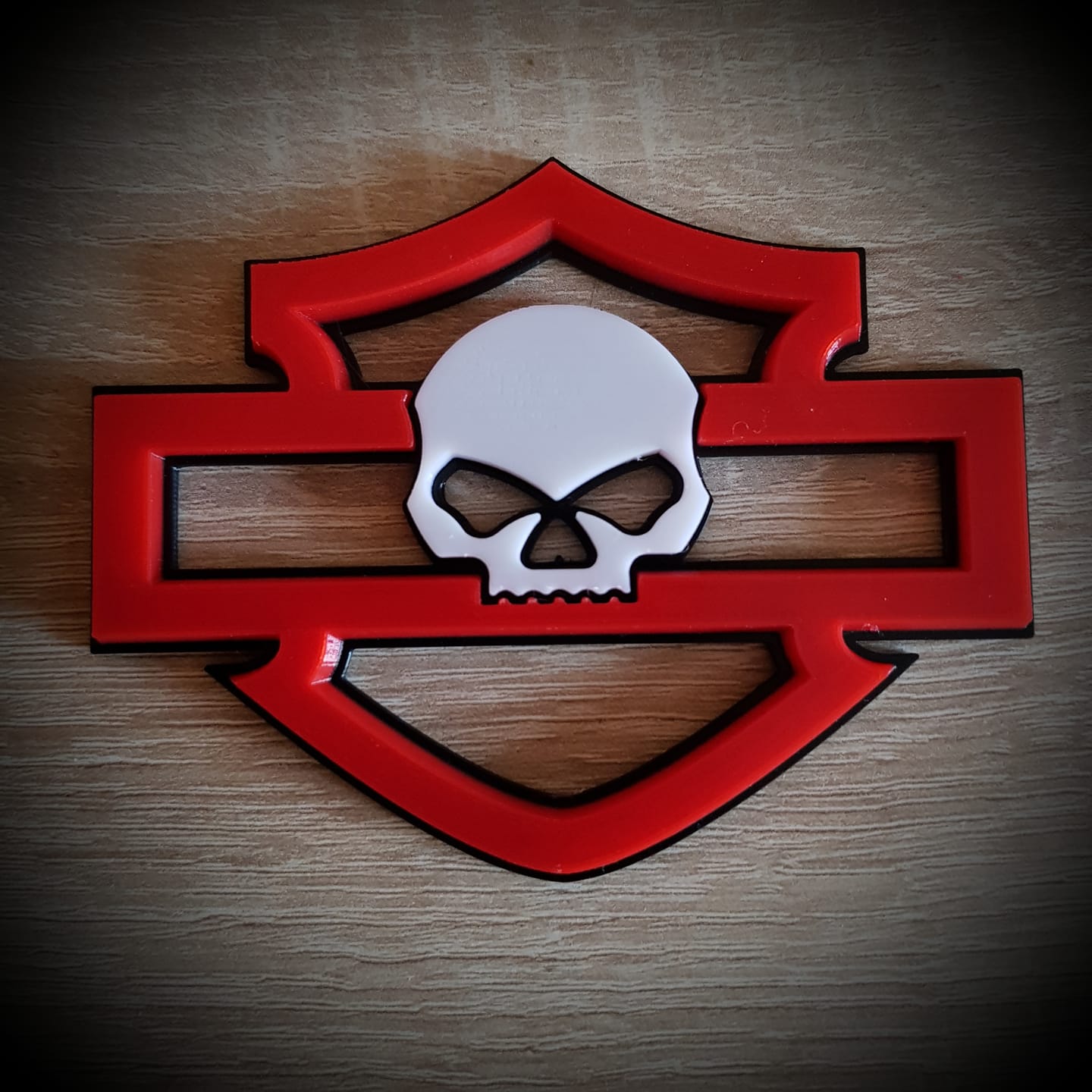 Logo Skull Harley Davidson