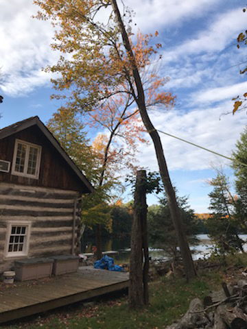 Saving an 1840's Cabin