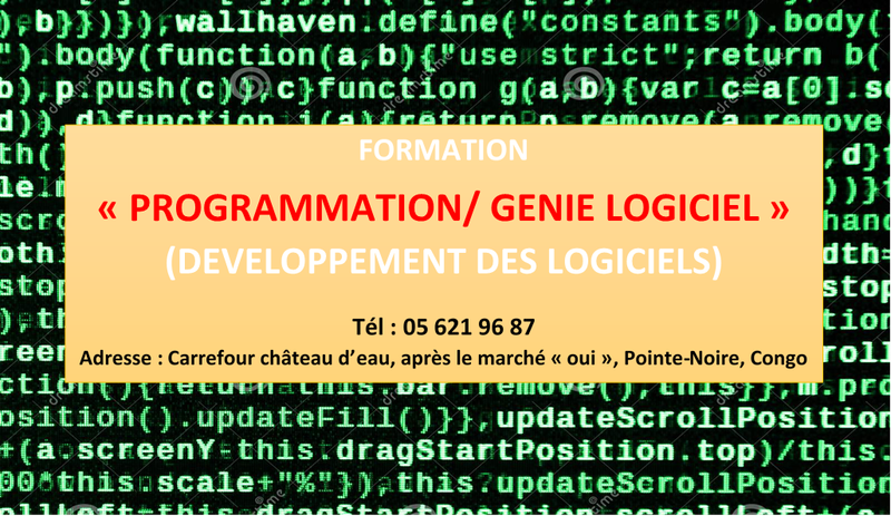 Formation "Programmation/ Développement des logiciels (Génie logiciel)"
