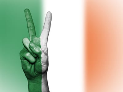 Ireland told it will benefit from IREXIT