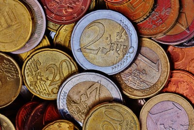 The Euro survives French elections