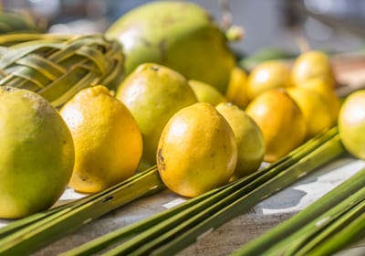 Trump's Argentina lemon ban lift angers farmers.