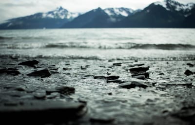 Trump wants to drill for oil in Alaska