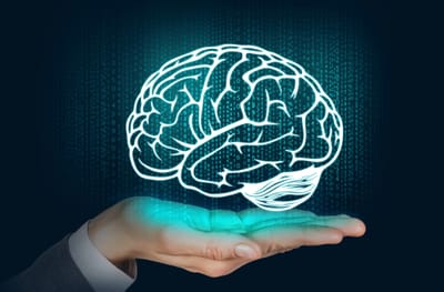 Jak wspomóc działanie naszego mózgu i zwiększyć odporność na stres?