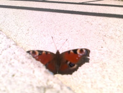 "Żyjesz tylko raz. Obudź się. Jest później niż myślisz."